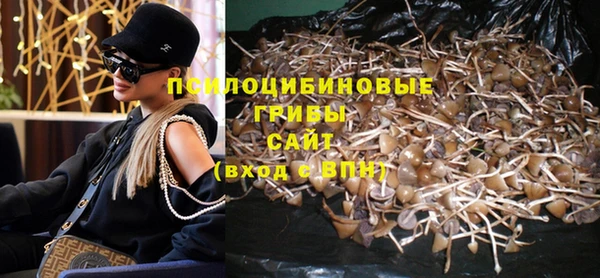 твердый Краснослободск