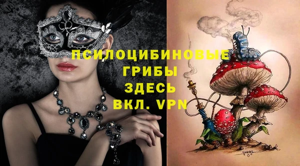 винт Коряжма