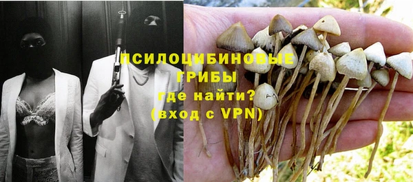 твердый Краснослободск