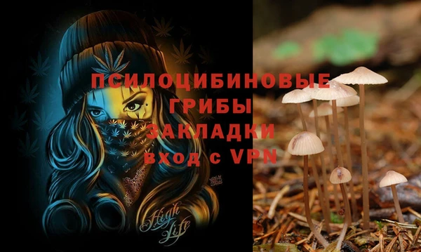 винт Коряжма