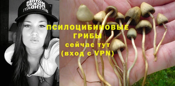 винт Коряжма