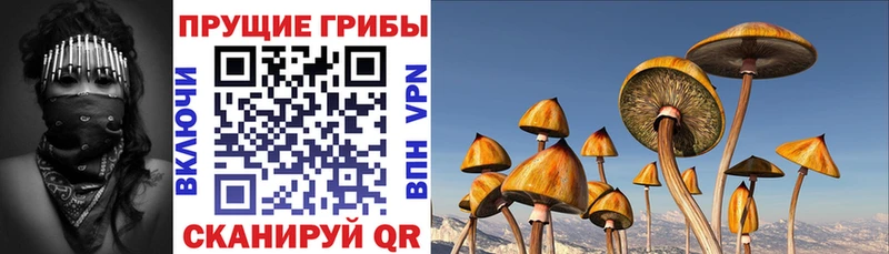 Галлюциногенные грибы Psilocybine cubensis  Купить закладки  Кудымкар 